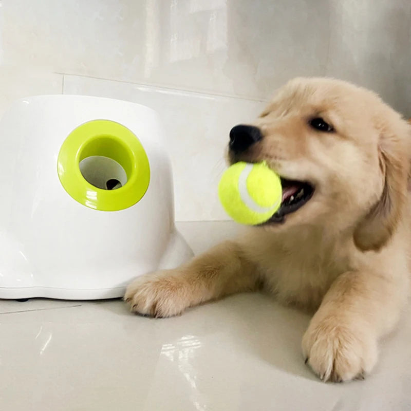 Catapult™ For Dogs - Automatic Ball Launcher