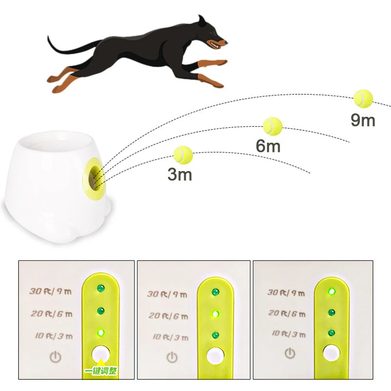 Catapult™ For Dogs - Automatic Ball Launcher