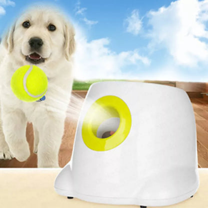 Catapult™ For Dogs - Automatic Ball Launcher