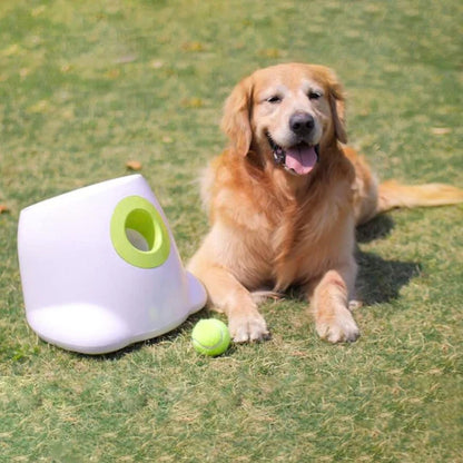 Catapult™ For Dogs - Automatic Ball Launcher